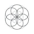 Da Vinci School - hello geometry - Seed of Life