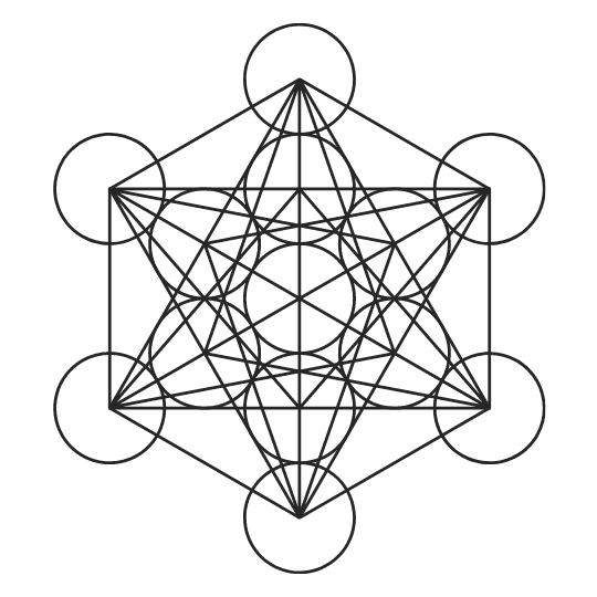 Da Vinci School - Sacred Geometry - Metatronscube