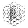 Da Vinci School - hello geometry - flower of life